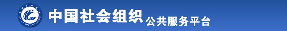 男生女生叉叉叉动漫版全国社会组织信息查询